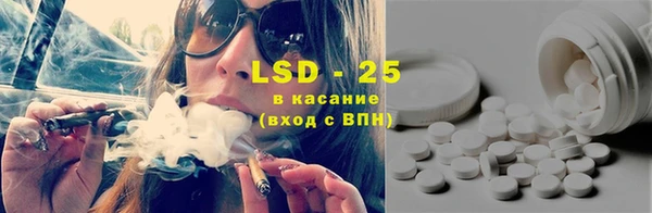 молекула духа Магадан