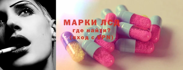 молекула духа Магадан