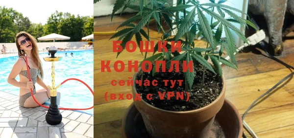 Альфа ПВП Мегион