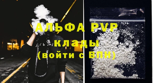 молекула духа Магадан