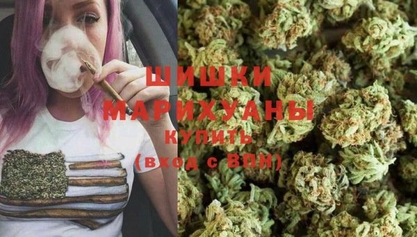 молекула духа Магадан