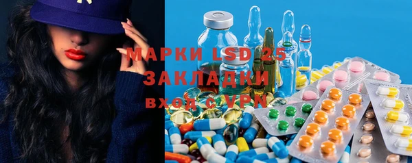 эйфоретик Майский