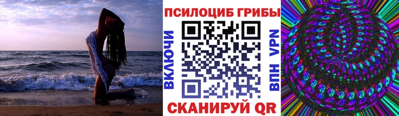 Галлюциногенные грибы MAGIC MUSHROOMS  Темников 
